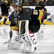 Illustration for article titled So Uh Marc-Andre Fleury Could Be Out A While